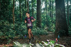 BIB: 
                            <button type="button" onclick="openModal(26069739)" class="btn btn-primary btn-sm float-right btn-popup" data-toggle="modal" data-target=".modal-high-quality">
                        <i class="fas fa-shopping-cart"></i> Add to Cart
                    </button>
                                            <button type="button" onclick="isThisMe(26069739, true)" class="btn btn-success btn-sm float-right btn-popup btn-isme hidden" data-toggle="tooltip" data-placement="bottom" title="นี่คือรูปของคุณใช่ไหม คลิกที่นี่เพื่อเอาเข้าอัลบั้ม">
                        <i class="fas fa-plus"></i> Add to album
                    </button>
                    <button type="button" onclick="isThisMe(26069739, false)" class="btn btn-warning btn-sm float-right btn-popup btn-isnotme hidden">
                        <i class="fas fa-ban"></i> Remove from album
                    </button>